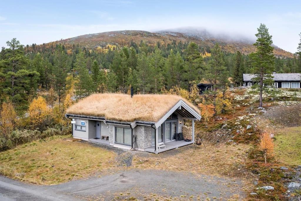 The Cabin At Lemonsjoen Jotunheimen Villa Randsverk Exterior photo