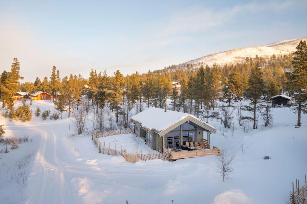 The Cabin At Lemonsjoen Jotunheimen Villa Randsverk Exterior photo