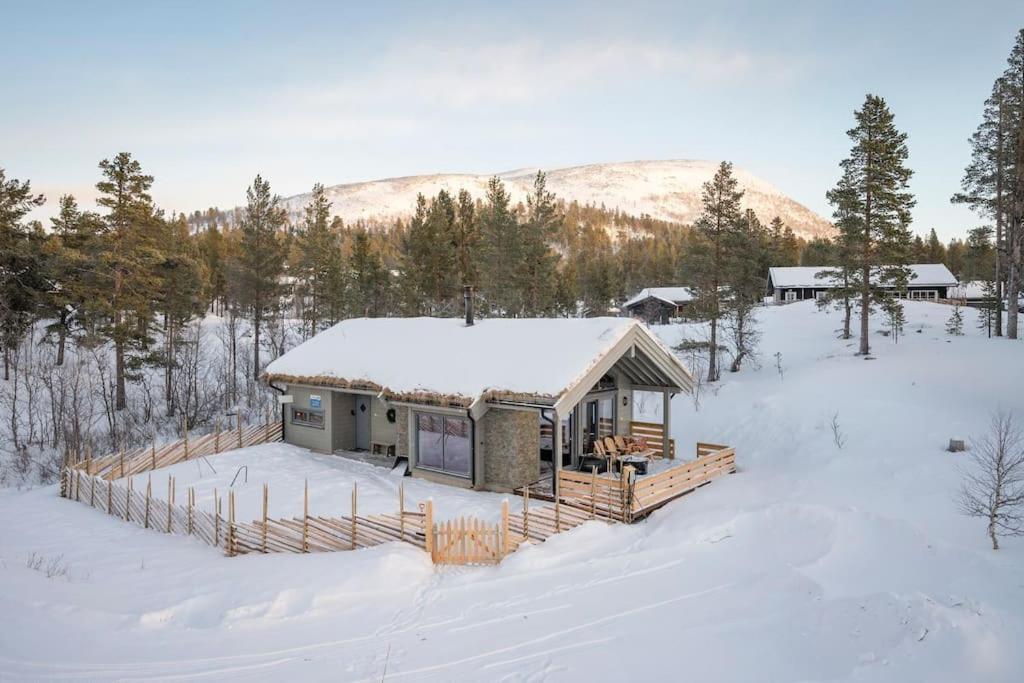 The Cabin At Lemonsjoen Jotunheimen Villa Randsverk Exterior photo